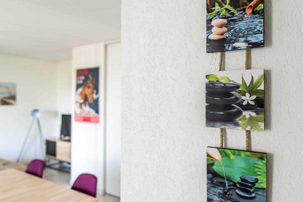 Appartement La loge du Minotaure, cosy, parking et bureaux à Toulouse Extérieur photo